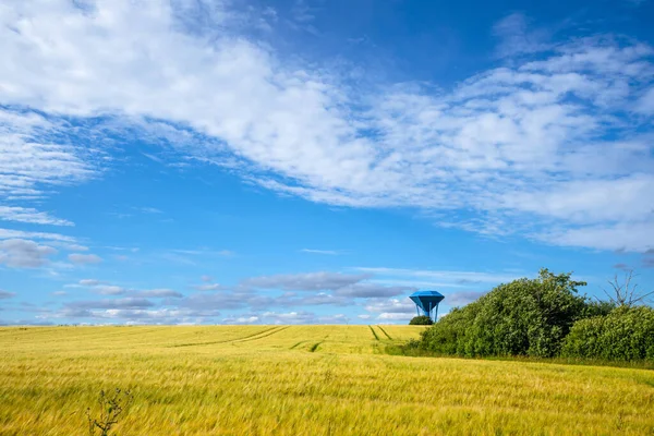 Rural landscape with a blue water tower on a wheat field in the summer