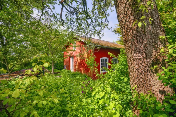 Cabaña Roja Verano Jardín Verde Con Gran Vegetación Verano — Foto de Stock