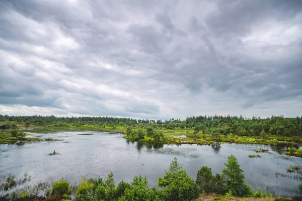 暗い空の下で小さな湖と緑の荒野を持つ湿地 — ストック写真