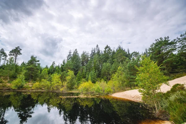 Playa Arena Junto Idílico Lago Forestal Con Reflejos Naturaleza Salvaje — Foto de Stock