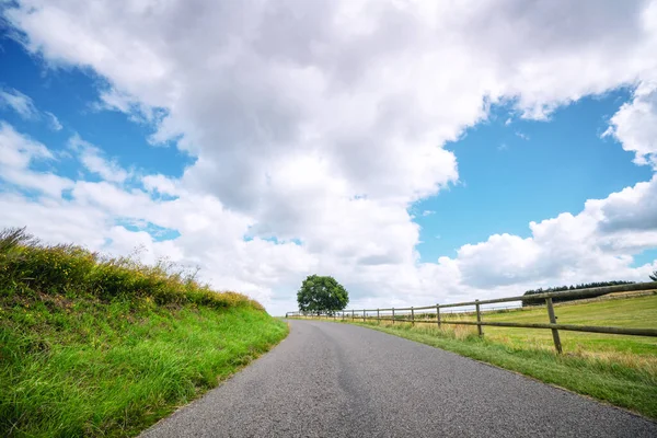 Landsbygdslandskap Med Kurvig Väg Nära Ett Fält Med Trästaket — Stockfoto