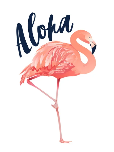 Aloha flamenco ilustración. Estilo aislado sobre fondo blanco . — Vector de stock