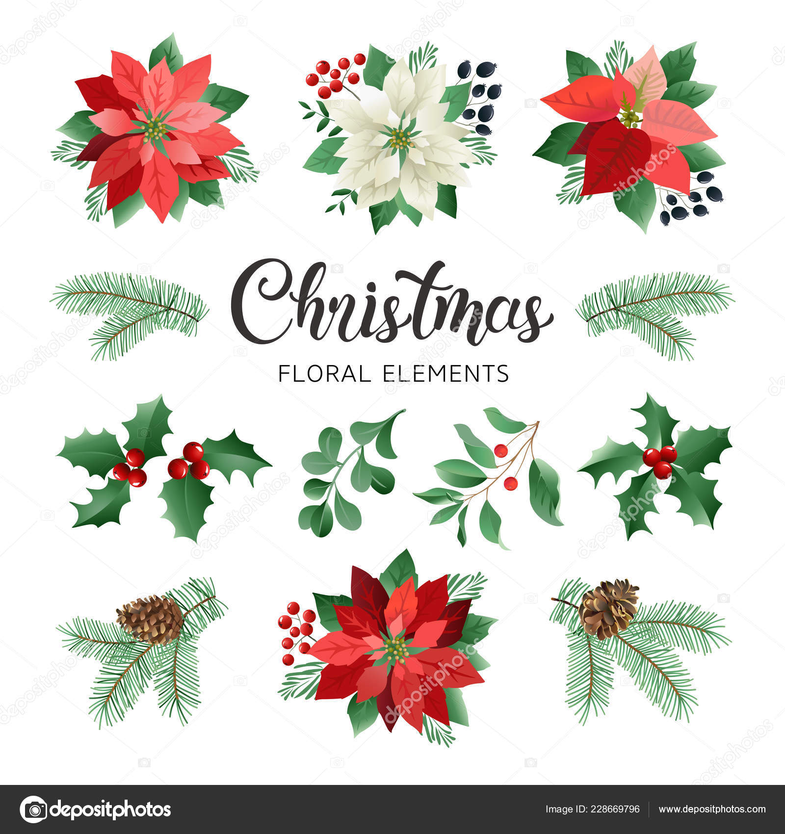 あなたのためのイラスト 上クリスマス 花 イラスト あなたのためのイラスト 上クリスマス 花 イラスト