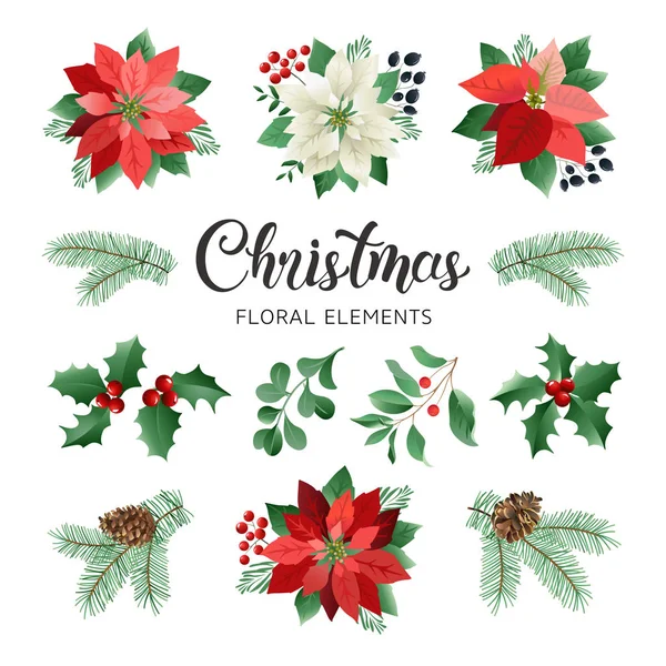 Weihnachtsstern Blumen und Weihnachten florale Elemente in Aquarell-Stil Vektor. — Stockvektor