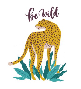 Vahşi slogan ol. Leopar. Tipografi grafik baskı, t-shirt için moda çizimi. Vektör çıkartmalar, baskı, yamalar Vintage.