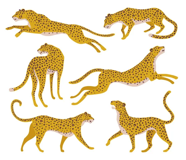 Set abstracte silhouetten van luipaarden. Vector hand tekening ontwerp. — Stockvector