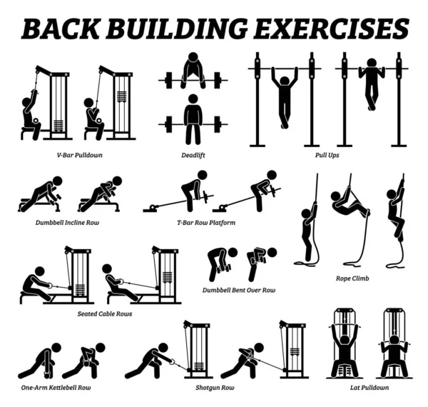 Back building exercises and muscle building stick figure pictograms. Artworks depict a set of weight training reps workout for back muscle by gym machine and tools with step by step instructions. — Stock Illustration Back Building Exercises Muscle Building Stick Figure Pictograms Artworks Depict Vector Graphics
