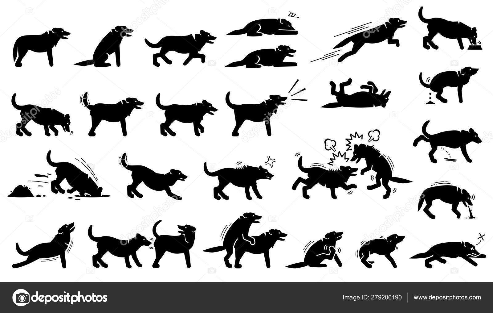 Dog Actions Reactions Postures Body Languages Illustrations Depict Dog ...