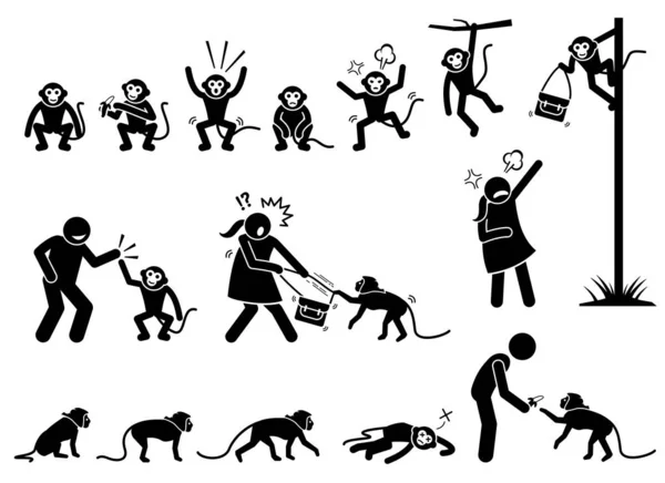 人間と猿の棒図ピクトグラム イラストは猿の行動や 食べる 歩くなどの反応を描いています いたずらな猿もつかむと女性のハンドバッグを盗む — ストックベクタ