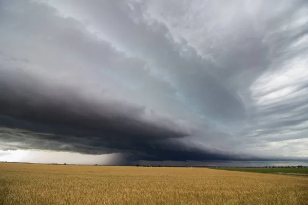 Eine Reihe Schwerer Gewitter Erfüllt Den Himmel Über Einem Weizenfeld — Stockfoto