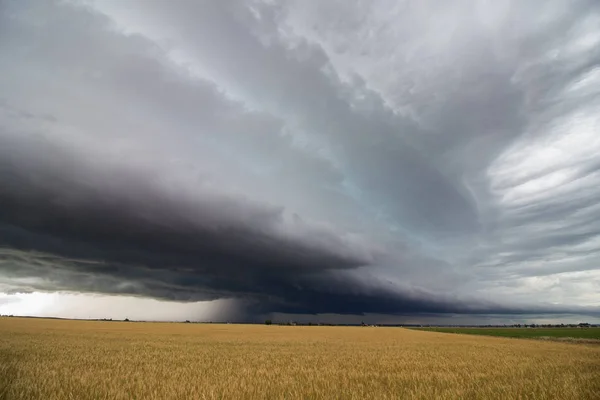 Una Línea Fuertes Tormentas Eléctricas Llena Cielo Sobre Campo Trigo —  Fotos de Stock