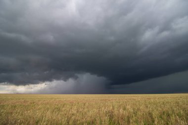 Supercell thunderstorm passes by a dry wheat field, releasing an intense core of rain and hail. clipart