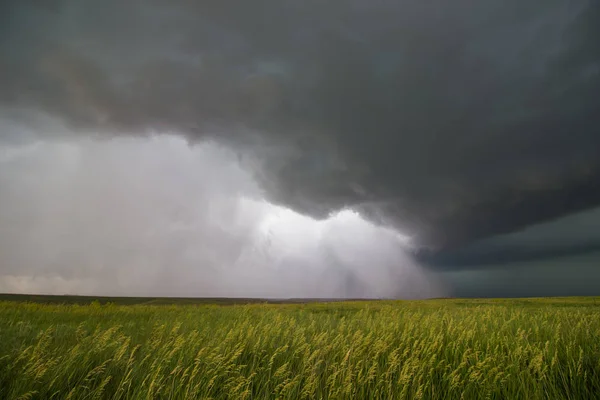 Supercell Onweer Passeert Een Tarweveld Het Vrijgeven Van Een Stortvloed — Stockfoto