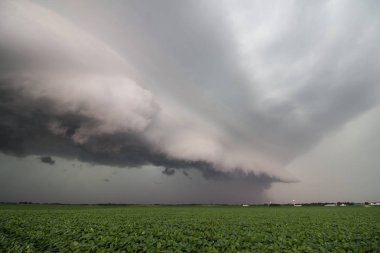 Looking along the leading edge of a severe thunderstorm with a menacing shelf cloud over a soybean field in the midwest. clipart