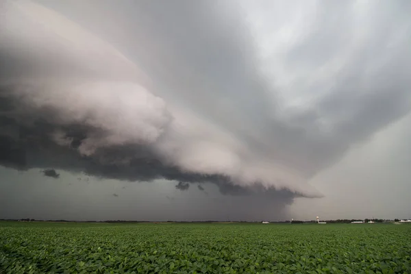 Looking Leading Edge Severe Thunderstorm Menacing Shelf Cloud Soybean Field — Stock Photo, Image