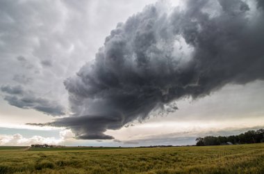 The dying updraft of a supercell thunderstorm creates a strange scene in the sky above a windblown grass field. clipart