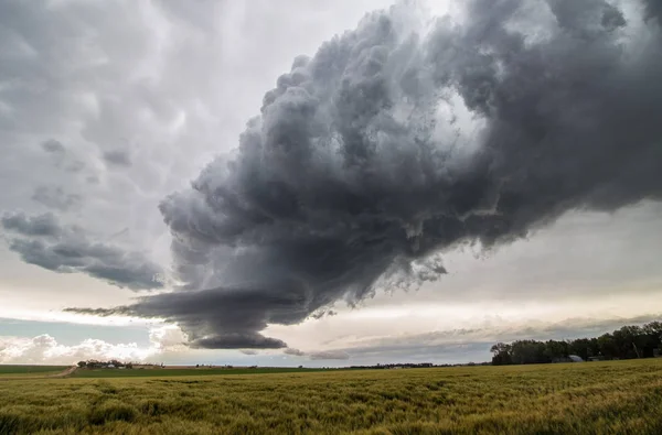 Döende Updraft Supercell Molnighet Skapar Konstig Scen Himlen Över Vindpinade — Stockfoto