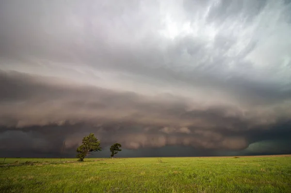 Dark Supercell Storm Low Shelf Cloud Fills Sky Field Green — Stock Photo, Image