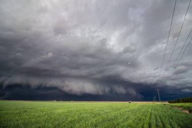 A low shelf cloud and severe storm rapidly approaches over farm country. clipart