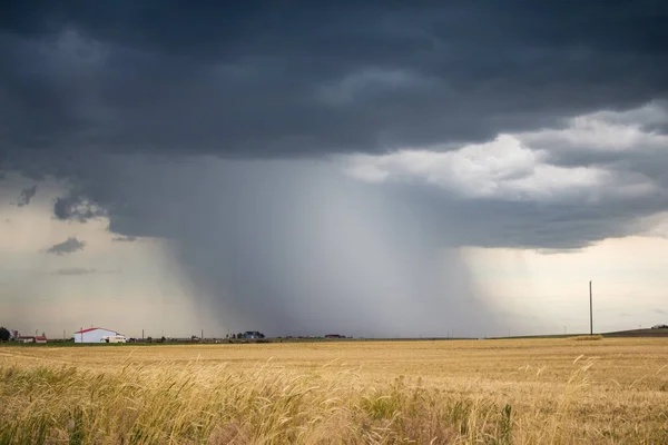 Ein Intensiver Schacht Aus Regen Und Hagel Fällt Von Einer — Stockfoto