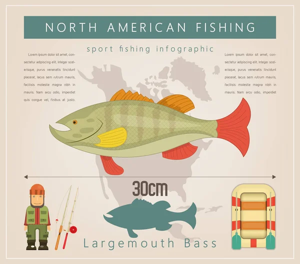 Achigan Grande Bouche Ensemble Infographie Pêche Nord Américaine Poisson Eau — Image vectorielle