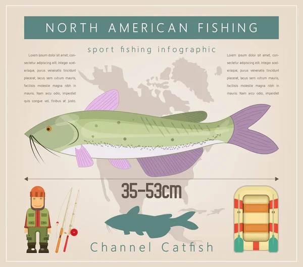 アメリカナマズ 北米釣りインフォ グラフィックのセットです 淡水魚 ベクトル図 — ストックベクタ