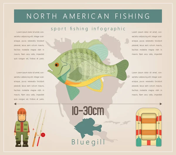 Bluegill Nordamerikanische Fischerei Infografik Set Süßwasserfische Vektorillustration — Stockvektor