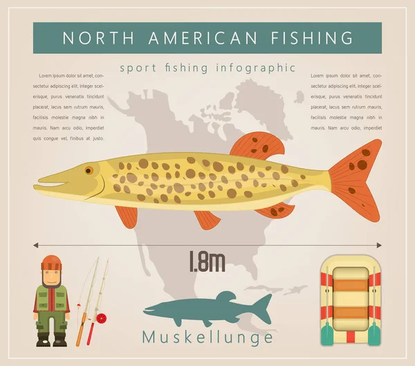 Muskellunge Nordamerikanische Fischerei Infografik Set Süßwasserfische Vektorillustration — Stockvektor