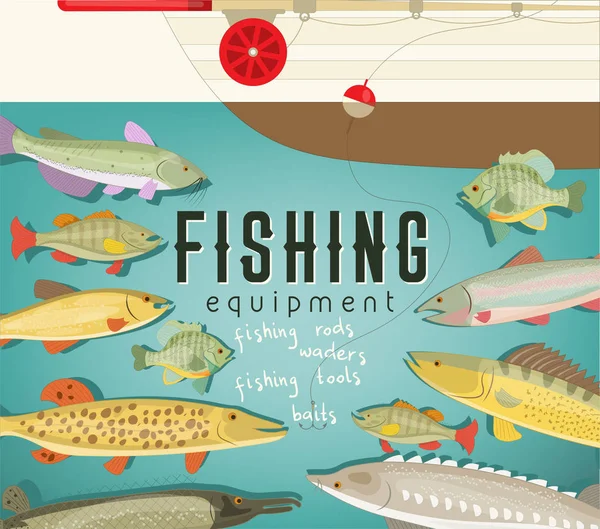 Freshwater Fish North America Infographic Poster Fishing Club