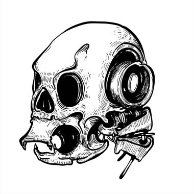 Vektör kafatası çizimi çizimi