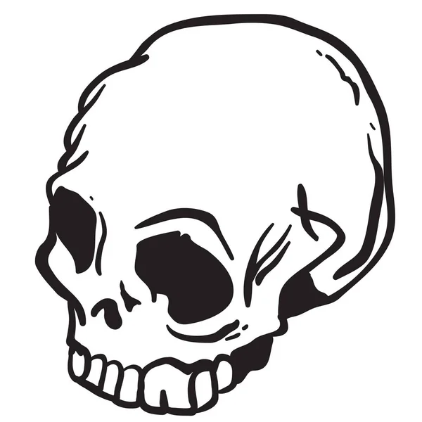 Skull Cartoon Illustration Isolated White — Stock Vector