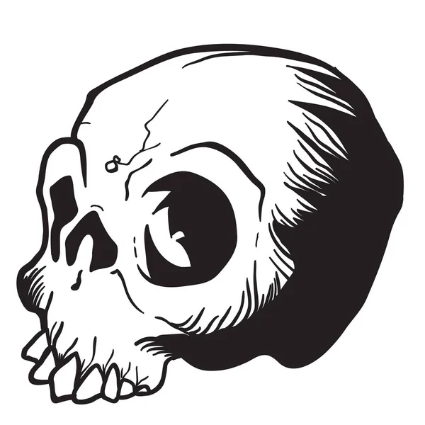 Skull Cartoon Illustration Isolated White — Stock Vector