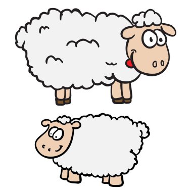 iki koyun illüstrasyon beyaz izole karikatür