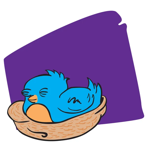 睡在鸟巢里的蓝鸟 — 图库矢量图片