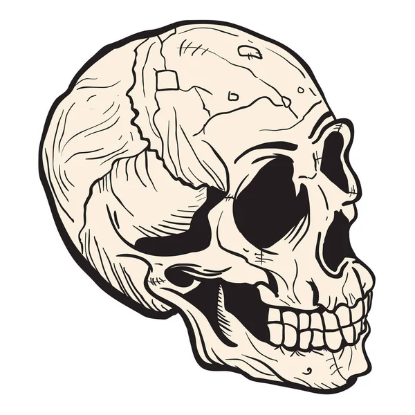 Skull Cartoon Illustration Isolated White — Stock Vector