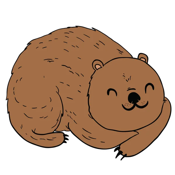 Adormecido Urso Desenho Animado Ilustração Doodle Isolado Branco — Vetor de Stock