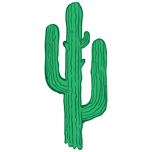 Illustrazione Del Fumetto Del Cactus Isolata Bianco — Vettoriale Stock