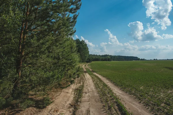 village road, this is how roads look in most villages in Russia, Ukraine, Belarus.