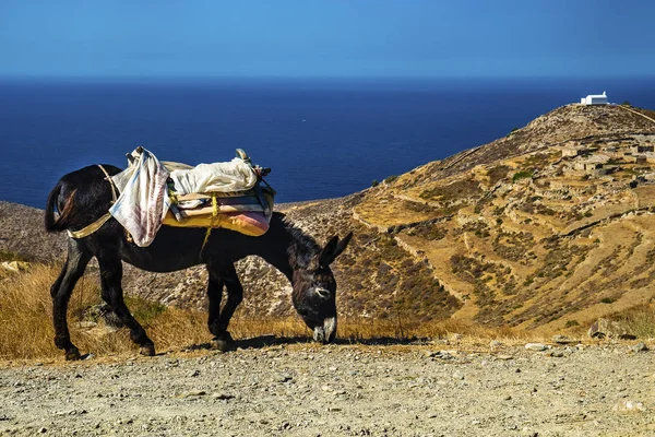 Folegandros island  rural landscape — Stock Photo, Image