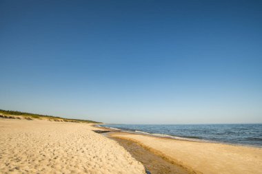 mavi bir gökyüzü ile yalnız beach