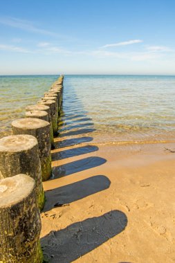 Kasiklari mavi gökyüzü ile Baltık Denizi