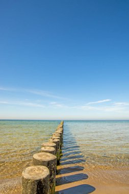 Kasiklari Baltık Denizi 