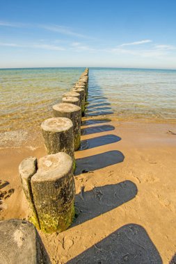 Kasiklari Baltık Denizi 