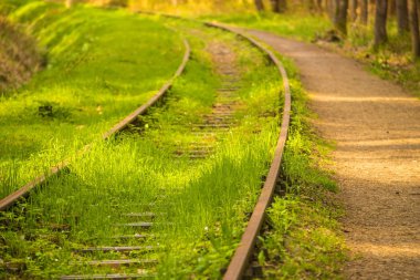 raylar bozuk yeşil çim büyümüş