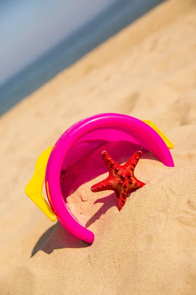 güneşli bir plaj oyuncakları