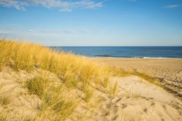 Lonesome Beach Baltic Sea — стоковое фото