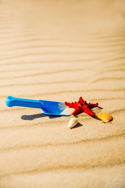 Toys Sunny Beach — Stock Photo, Image