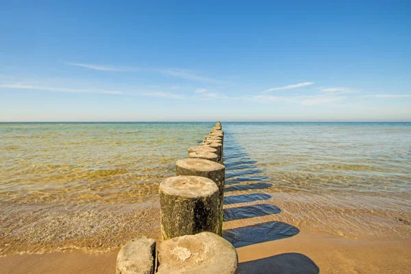 Grãos Mar Báltico — Fotografia de Stock