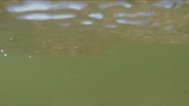 波罗的海冲浪在波兰 照相机在冲浪与水下看法 — 图库视频影像