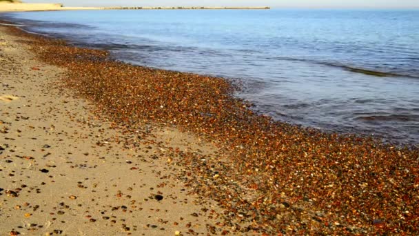 Surf Baltic Sea Pebbles — Stock Video